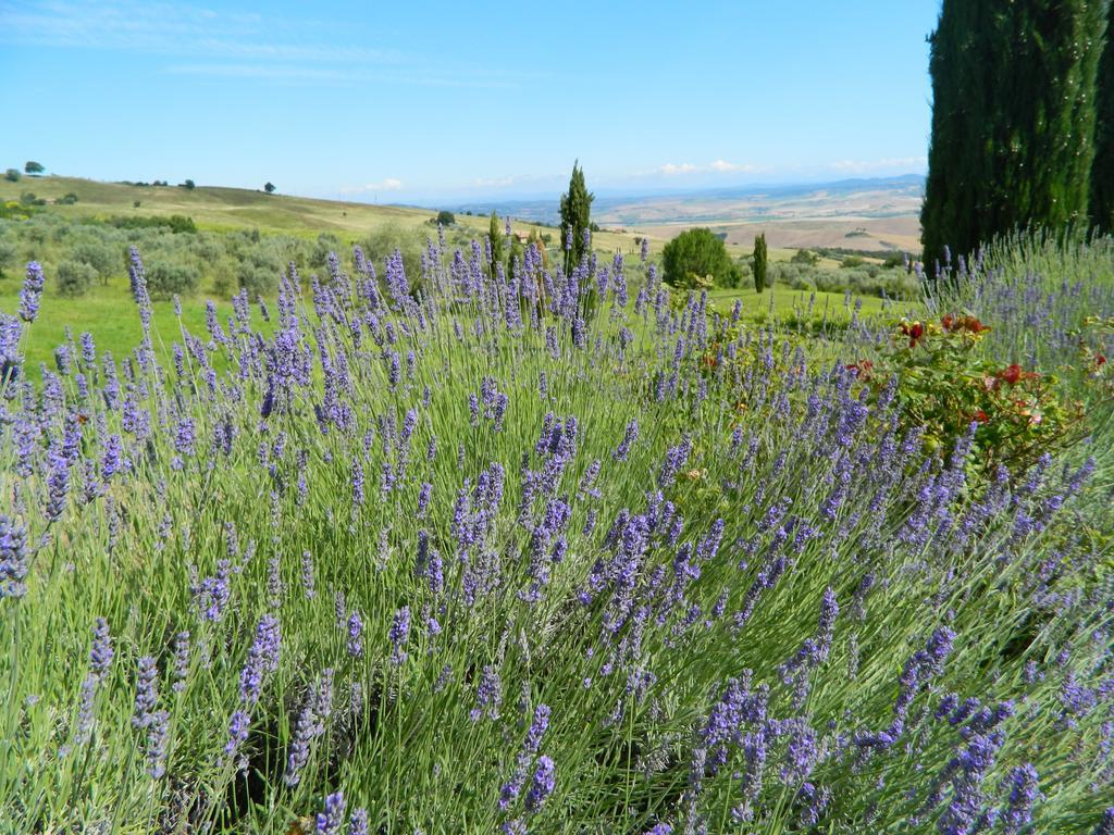 Le Rogheta Vila Campiglia dʼOrcia Exterior foto