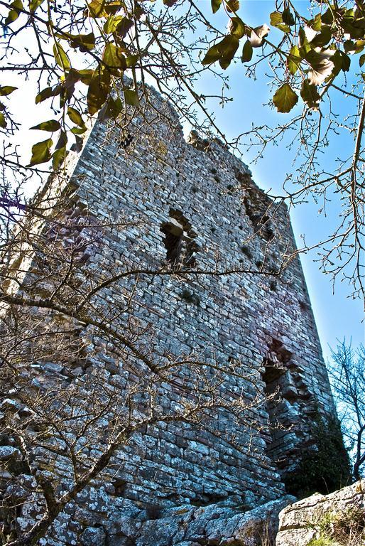 Le Rogheta Vila Campiglia dʼOrcia Exterior foto