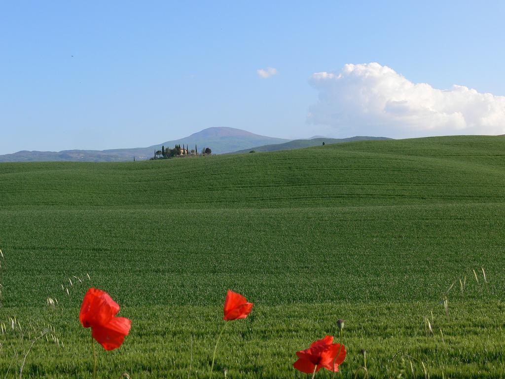 Le Rogheta Vila Campiglia dʼOrcia Exterior foto